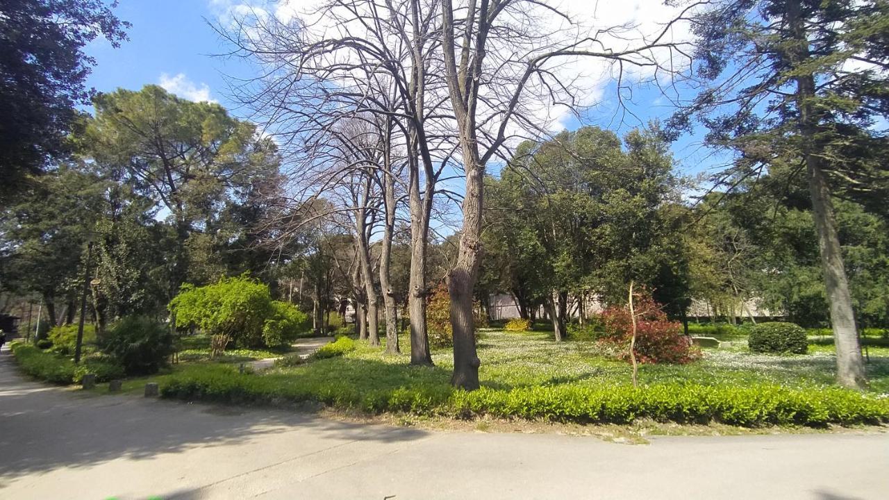 Apartment Antique Zadar - City Center Zewnętrze zdjęcie